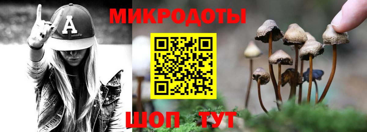 Чапаевск  Псилоцибиновые грибы мухоморы  Вход с VPN  Галлюциногенные грибы мухоморы 